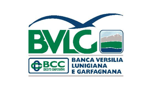 Banca Versilia Lunigiana e Garfagnana
